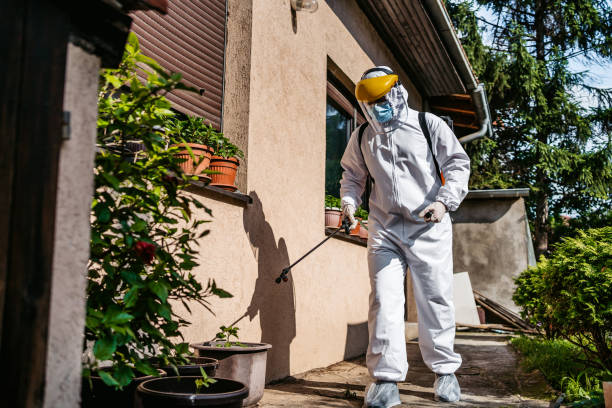 Best Cockroach Control Services  in Goodrich, MI