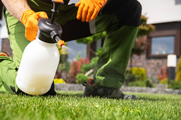 Best Pest Prevention Services  in Goodrich, MI