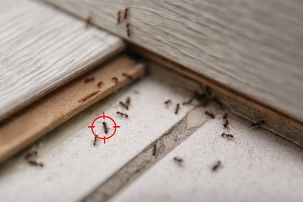 Best Pest Control Near Me  in Goodrich, MI