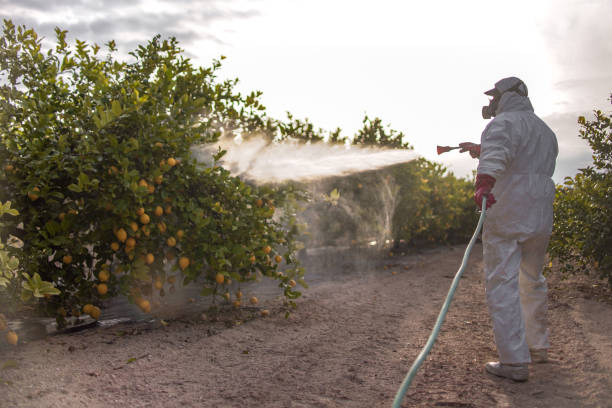 Best Affordable Pest Control Services  in Goodrich, MI