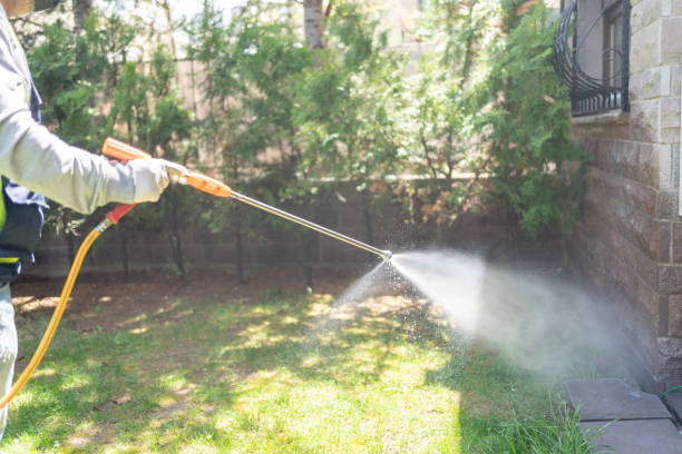 Best Termite Control Services  in Goodrich, MI