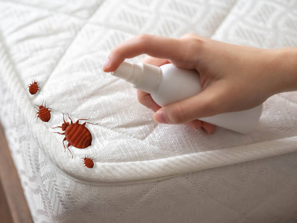 Best Flea Control Services  in Goodrich, MI