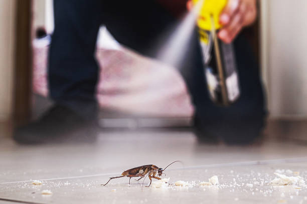 Pest Prevention Services in Goodrich, MI